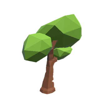 Tree oak 1